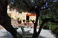 Sonnenbaden im Halbschatten unter den Olivenbäumen vor Casa Cantagallo.