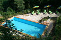 Der chlorfreie Pool ist knapp 4 m x 8 m groß.