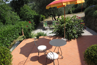 Blick von Casa Cantagallo auf Terrasse, Olivenbaum und Stellplatz
